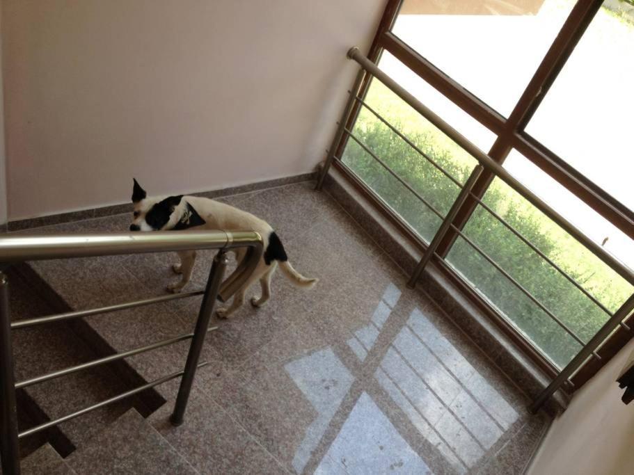 Villa Mare 切尔诺莫雷茨 外观 照片